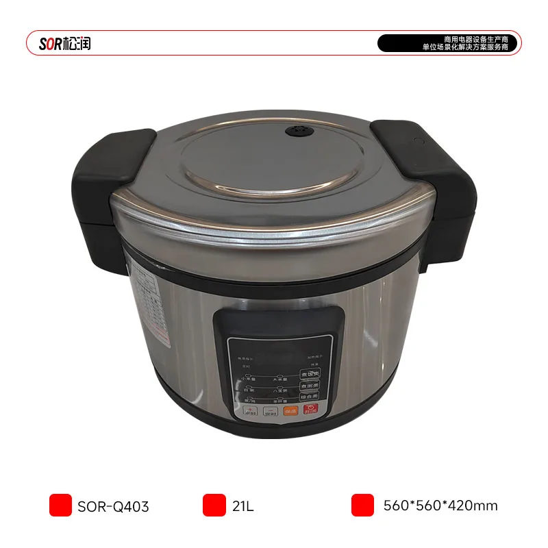 Wok Cooker 21 L