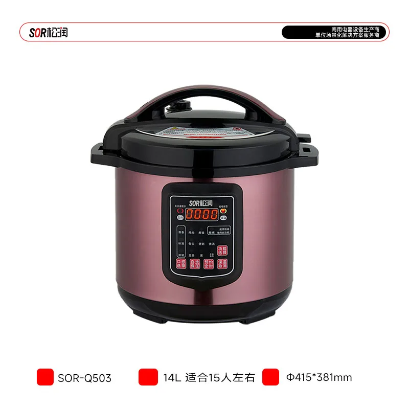 électrique Pressure Cooker 14 L